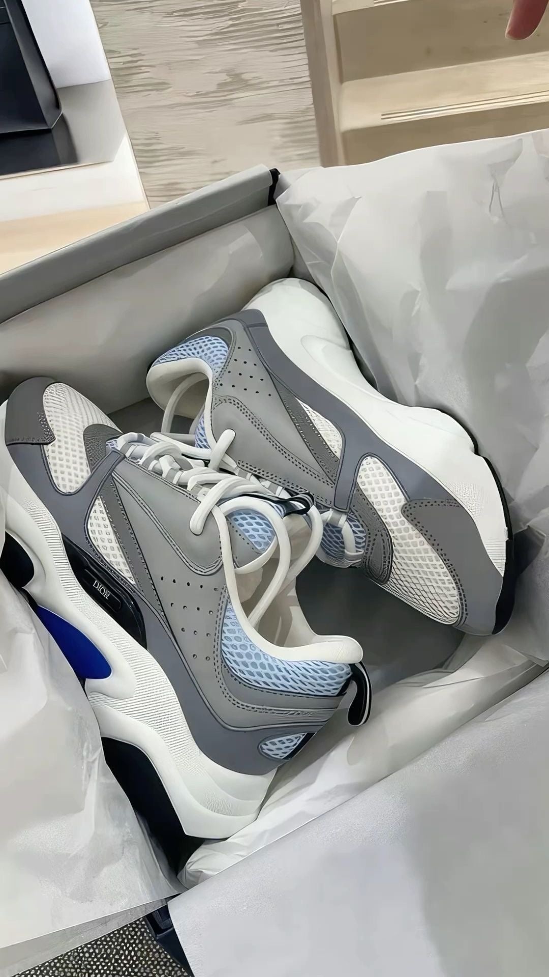 Dior b22