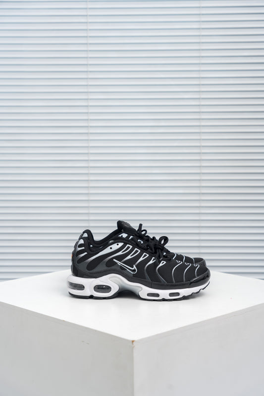 Nike air max plus